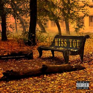 Listen to Miss You (Explicit) song with lyrics from Grott
