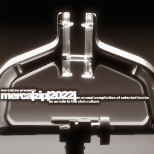 Merca Bae的专辑Merca Zip /2022/