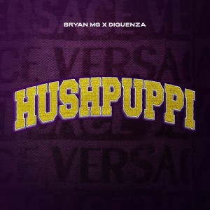 Bryan Mg的專輯HUSHPUPPI (Explicit)