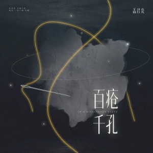 Album 百疮千孔 from 盖君炎