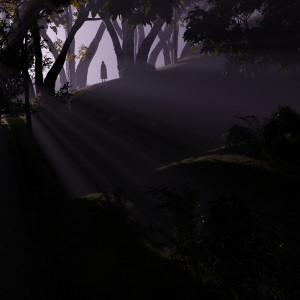 Album glades from 