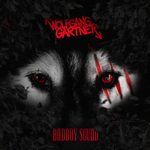 ดาวน์โหลดและฟังเพลง Badboy Sound พร้อมเนื้อเพลงจาก Wolfgang Gartner