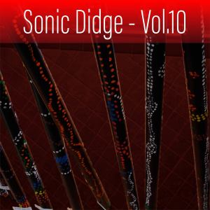Gene Pierson的專輯Sonic Didge, Vol. 10