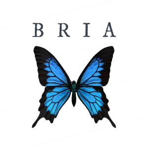 Listen to Bria song with lyrics from Domo Wilson