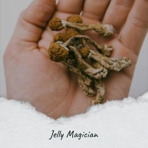 Album Jelly Magician from Various