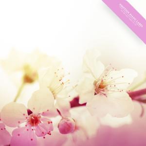 Listen to Dew smile song with lyrics from Ji Soyun