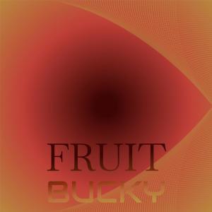 Dengarkan lagu Bordeaux Fundraiser nyanyian Harlyn Moby dengan lirik