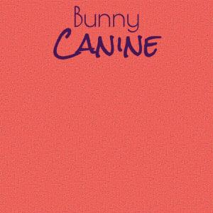 Various Artists的專輯Bunny Canine