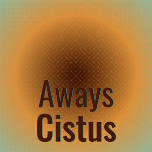 Listen to Confused Insomnia song with lyrics from Anvy