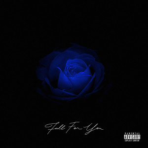 Album Fall for You (Explicit) from 
