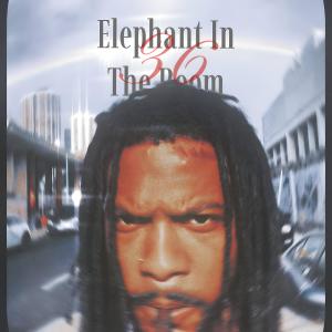 36E的專輯Elephant in the Room (Explicit)