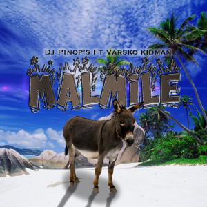 Album Malmile from Dj Pinop's