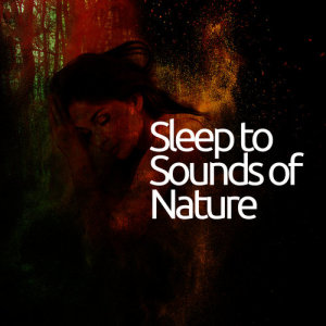 收聽Sleep Sounds of Nature的Wings Around the Water歌詞歌曲