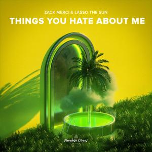 ดาวน์โหลดและฟังเพลง Things You Hate About Me พร้อมเนื้อเพลงจาก Zack Merci