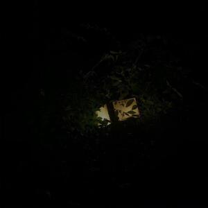 Album Type (Explicit) from 안재우