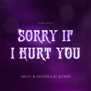 Hoodlum的专辑Sorry If I Hurt You (Arco & Hoodlum Remix) (Explicit)