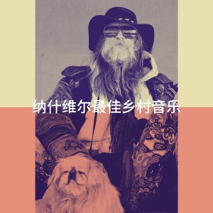 อัลบัม 纳什维尔最佳乡村音乐 ศิลปิน Country Rock Party