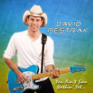 Listen to I Miss You Too (The Guitar Song) song with lyrics from David Pestrak