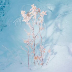 default album img