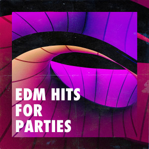 Album EDM Hits for Parties oleh Various