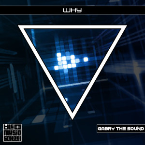 Dengarkan lagu Why nyanyian Gabry the Sound dengan lirik