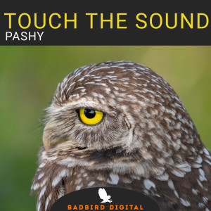 Listen to Pashy (Qwez Remix) song with lyrics from Touch The Sound