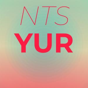 Various Artists的專輯Nts Yur