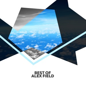 ดาวน์โหลดและฟังเพลง Become Kinder (Chillout Mix) พร้อมเนื้อเพลงจาก Alex Field