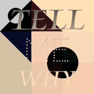 Dengarkan lagu Volare nyanyian 比尔克 dengan lirik