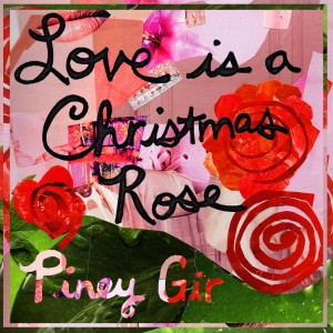 Love is a Christmas Rose