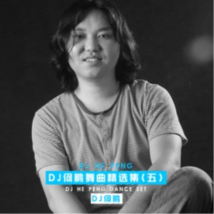 收聽DJ 何鵬的尋你不曾留 (DJ版)歌詞歌曲