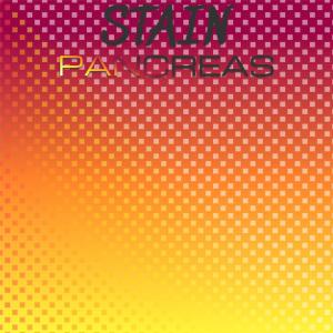 Listen to Stain Pancreas song with lyrics from Alle Dune