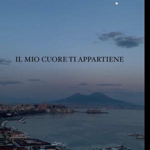 Salerno的專輯IL MIO CUORE TI APPARTIENE (Explicit)