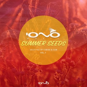 Various Artists的專輯Summer Seeds