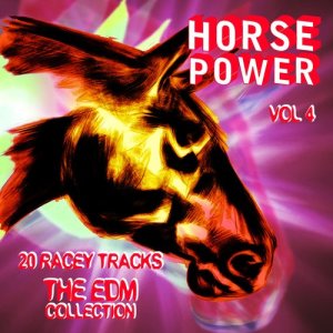 收聽EDM Horsepower的Believe 'N' Me歌詞歌曲