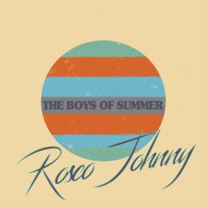 收聽Rosco Johnny的The Boys Of Summer歌詞歌曲