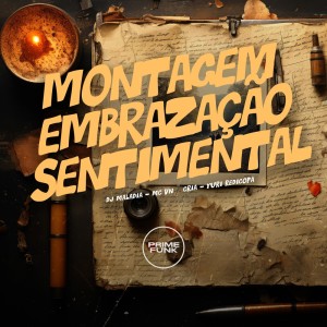 Montagem Embrazação Sentimental (Explicit)