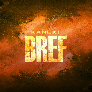 kaneki的專輯Bref