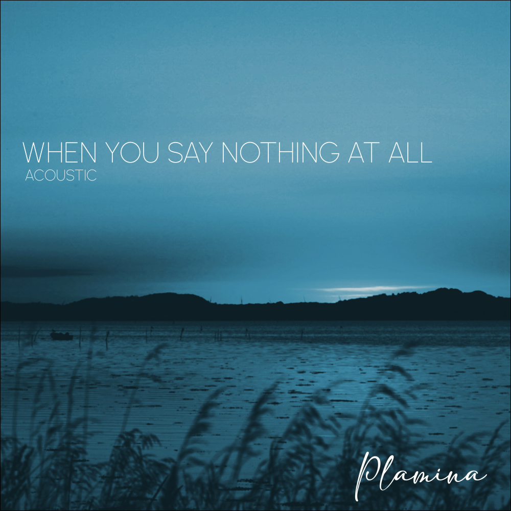 When You Say Nothing At All (Acoustic)