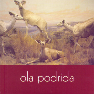 ดาวน์โหลดและฟังเพลง Run Off The Road พร้อมเนื้อเพลงจาก Ola Podrida