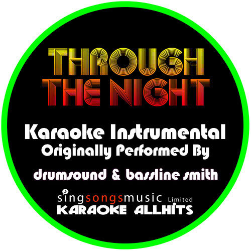 Through the Night (Originally Performed By Drumsound & Bassline Smith) [Instrumental Version] (Instrumental Version)