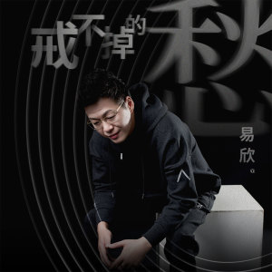 收聽易欣的戒不掉的愁歌詞歌曲