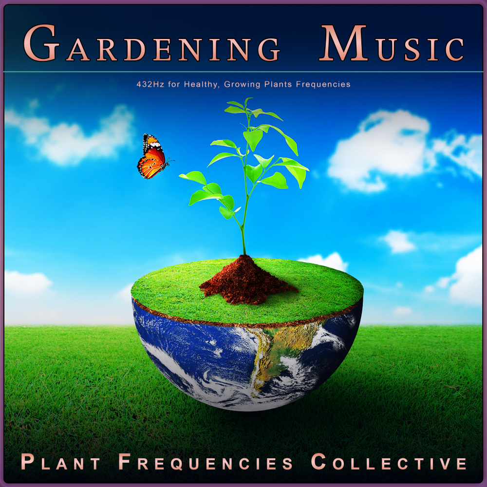 Relaxing House Plant Music