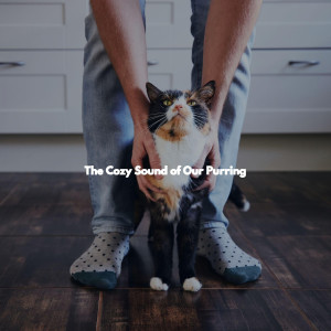 The Cozy Sound of Our Purring
