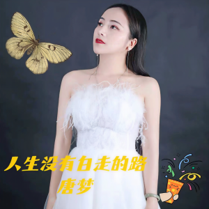 Album 人生没有白走的路 from 唐梦