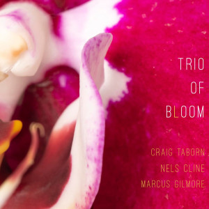 Trio of Bloom的專輯Queen King