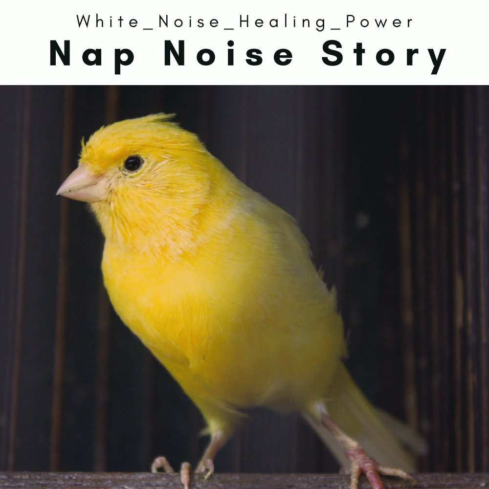White Sleep and Sweet Sleep