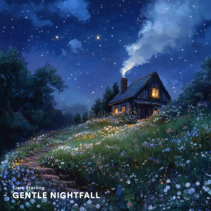 Calm Music的專輯Gentle Nightfall