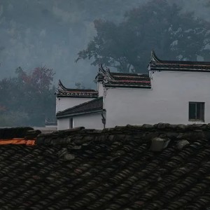 Album 一梦天涯/中国风纯音乐 from 