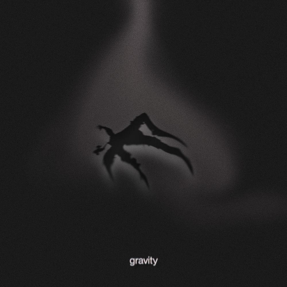 Gravity